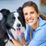 Happy Team, Healthy Pets: A Workplace Improved