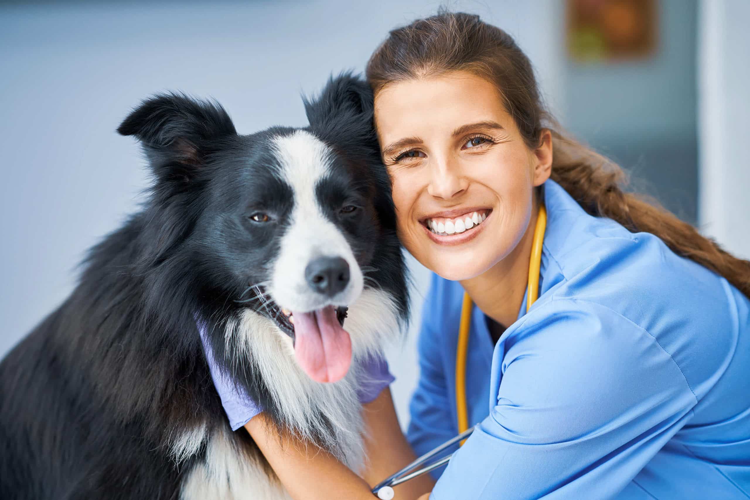 female-vet-examining-dog-clinic